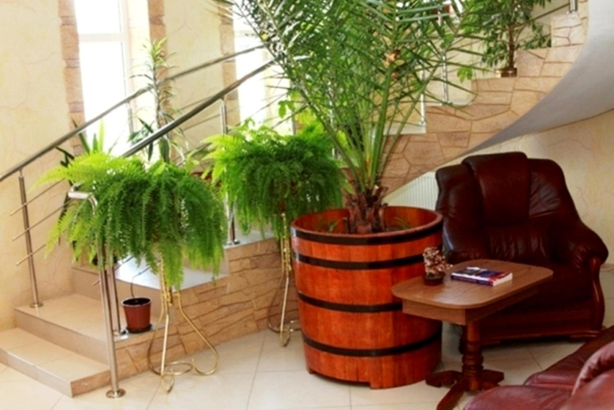 Edem Hotel Kişinev Dış mekan fotoğraf
